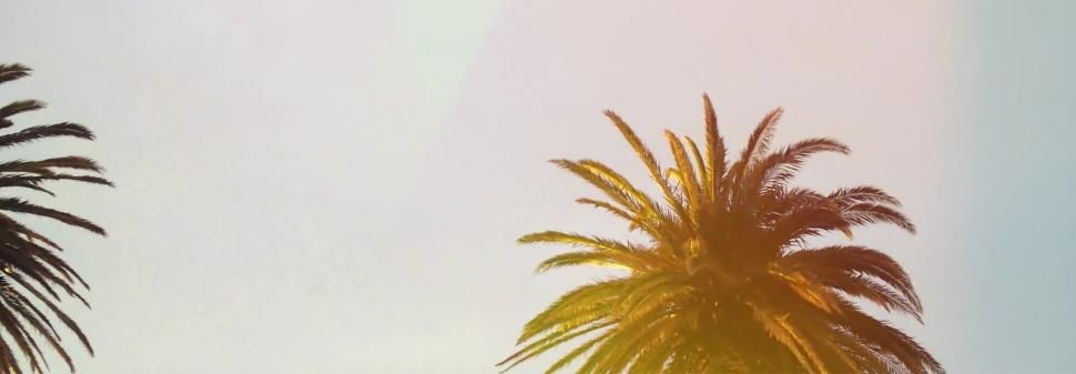 Wanderlust Motels - Marque